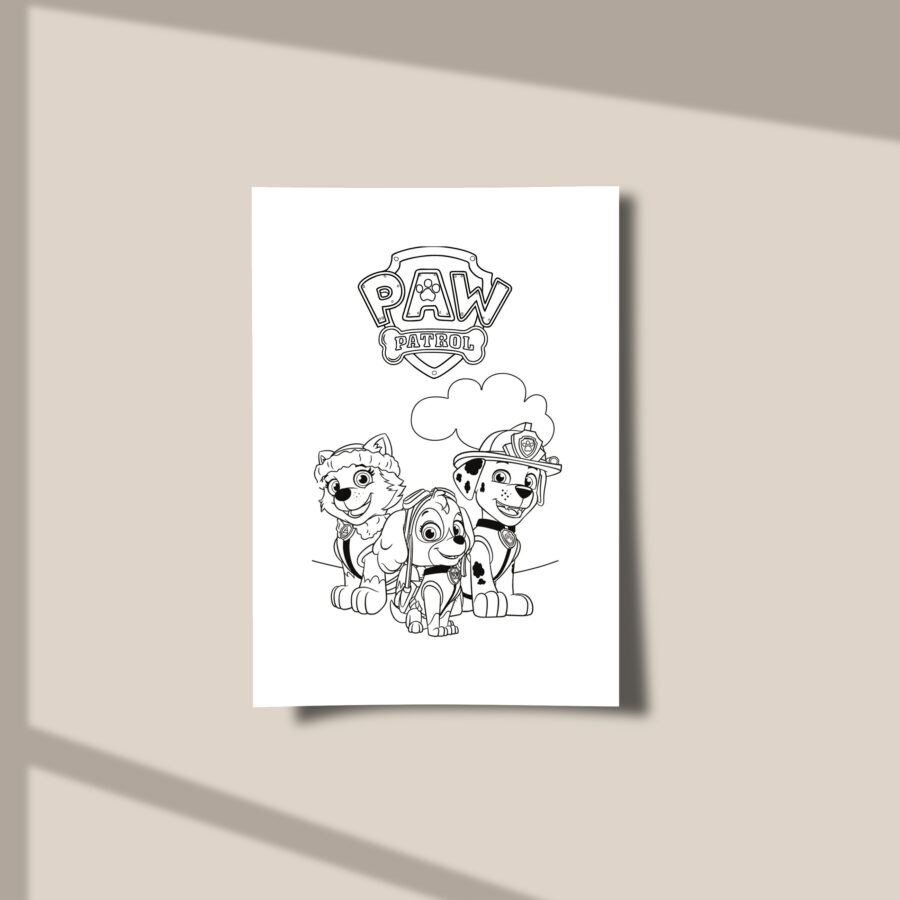 Mini Librito Colorear Paw Patrol